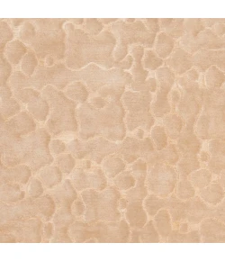 Surya Shibui Mustard SH-7420 4ft. x 6ft. Rect. Rug