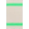 Surya Shine SHN2000 Green Light Beige Area Rug 8 ft. X 10 ft. Rectangle