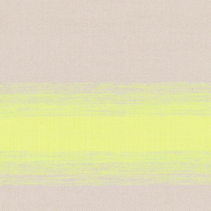 Surya Shine SHN-2002-8x10 rug