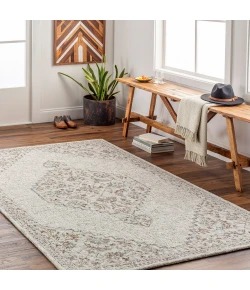 Surya Symphony SHY2302 Light Gray Oatmeal Area Rug 2 ft. X 3 ft. Rectangle