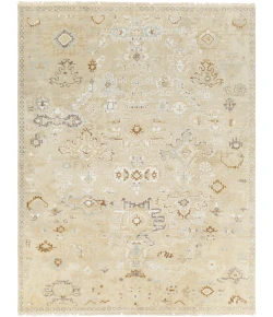 Surya Shiraz SHZ2300 Dark Brown Dusty Sage Area Rug 2 ft. X 3 ft. Rectangle