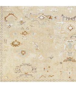 Surya Shiraz SHZ2300 Dark Brown Dusty Sage Area Rug 2 ft. X 3 ft. Rectangle