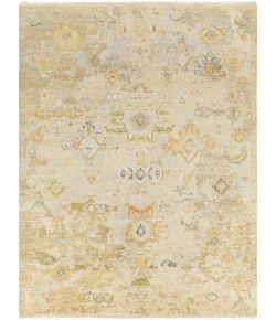 Surya Shiraz SHZ2301 Light Olive Tan Area Rug 2 ft. X 3 ft. Rectangle