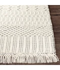 Surya Saint Clair SIC-2302 2  x 3  Rug