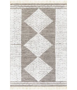 Surya Salinas SLS2302 White Dark Brown Area Rug 2 ft. X 3 ft. Rectangle