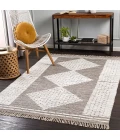 Surya Salinas SLS-2302 2  x 3  Rug