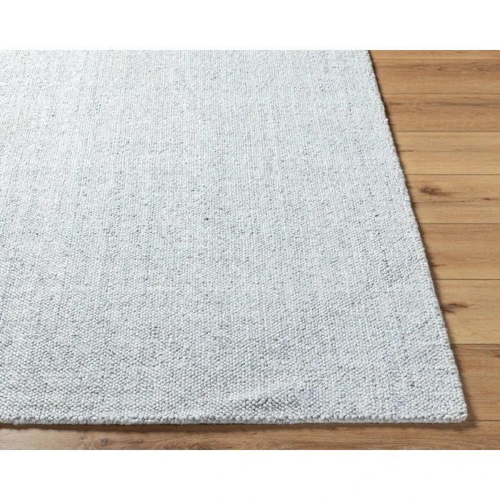Salome SME-2301 2 x 3 Handmade Rug