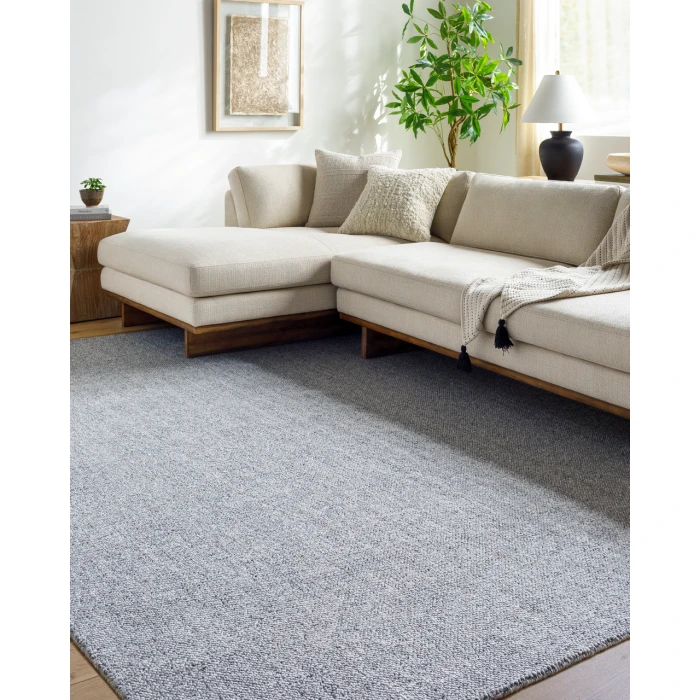 Salome SME-2302 2 x 3 Handmade Rug