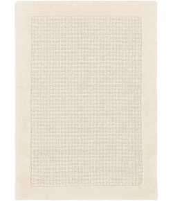 Livabliss Siena SNA2305 Cream Light Gray Area Rug 2 ft. X 3 ft. Rectangle