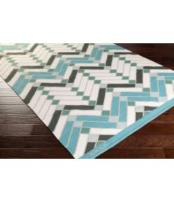 Surya Savannah SNH8000 Aqua Light Gray Area Rug 4 ft. X 6 ft. Rectangle