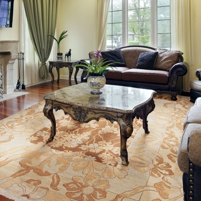Surya Sonoma SNM-8983-4x6 rug