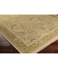Surya Sonoma SNM-9038-2x3 rug