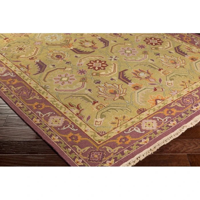 Surya Sonoma SNM-9039-6x9 rug