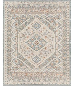 Livabliss Santana SNN2302 Light Grey Taupe Area Rug 2 ft. 3 in. X 3 ft. 9 in. Rectangle