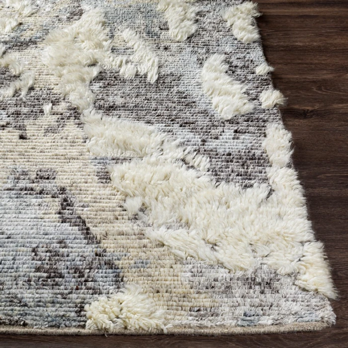 Surya Socrates SOC-2301 8 10 x 12  Rug