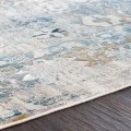 Surya Solar SOR-2307 10  x 14  Rug