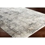 Surya Solar SOR2308 Charcoal Taupe Area Rug 2 ft. X 3 ft. Rectangle