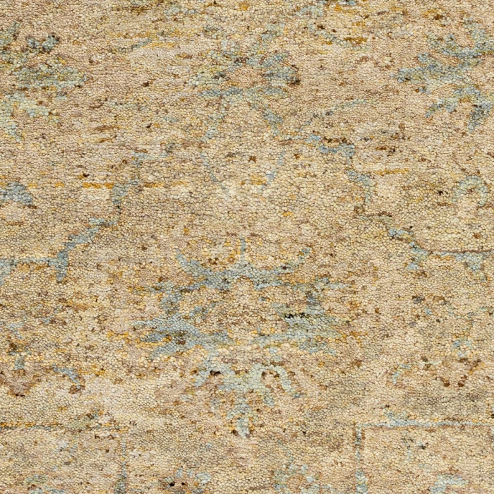 Surya Sakarya Rug SRY2300