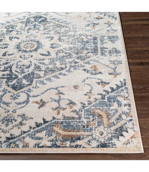 Livabliss St tropez SRZ-2300 5 2 x 7  Rug