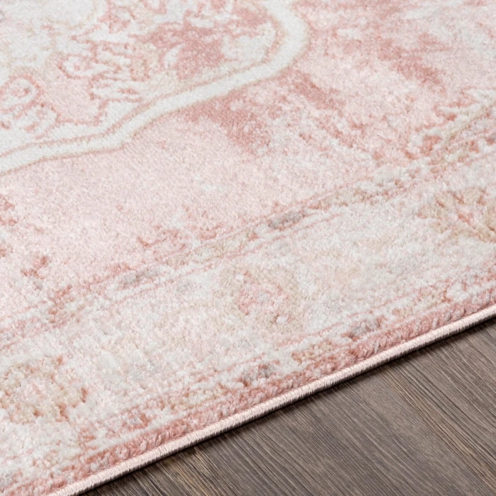 Livabliss St tropez SRZ-2321 27" x 73" Rug