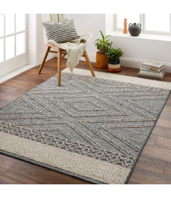 Livabliss Sarasota SSO2305 Blue Taupe Area Rug 5 ft. X 7 ft. Rectangle