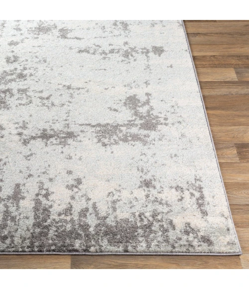 Livabliss Sunderland SUN-2318 Area Rug