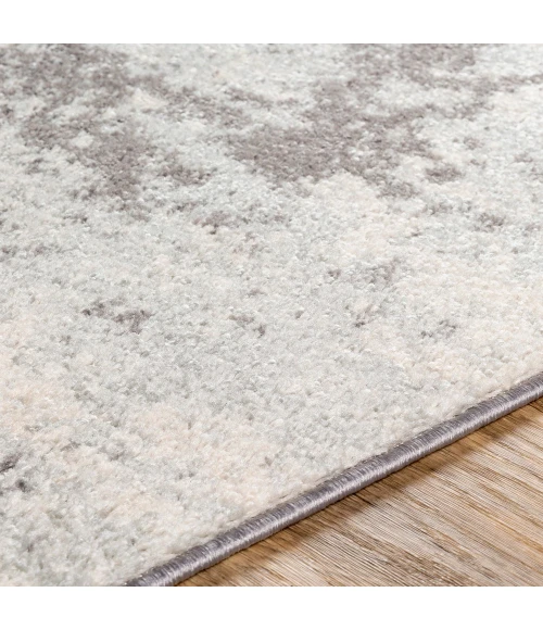 Livabliss Sunderland SUN-2318 Area Rug