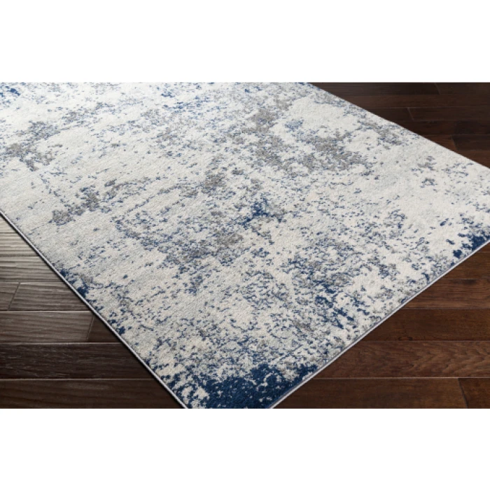 Livabliss Sunderland SUN-2319 6 7 x 9  Rug