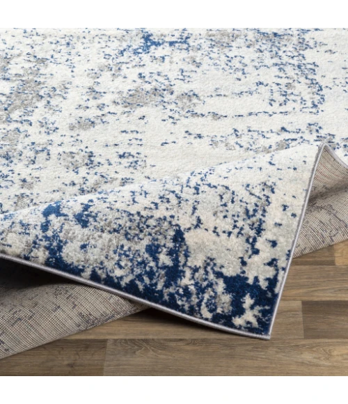 Livabliss Sunderland SUN-2319 5 3 x 7 3 Rug