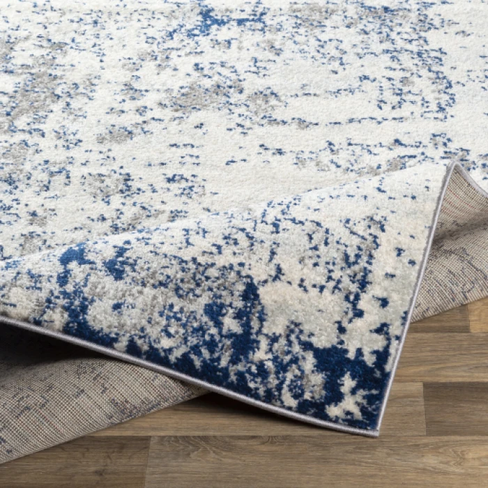 Livabliss Sunderland SUN-2319 6 7 x 9  Rug