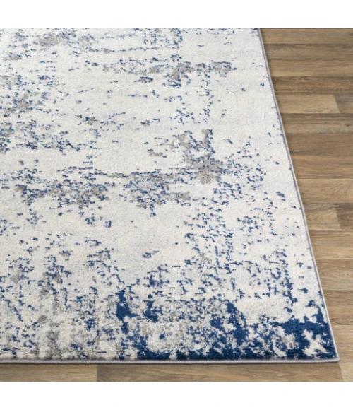 Livabliss Sunderland SUN-2319 5 3 x 7 3 Rug