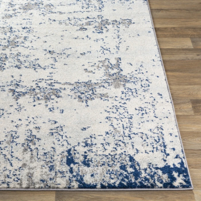Livabliss Sunderland SUN-2319 6 7 x 9  Rug