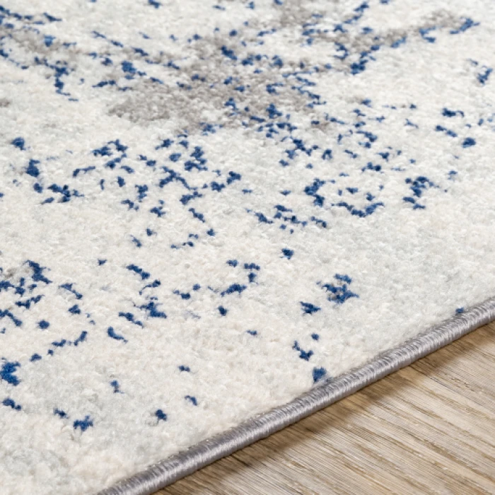 Livabliss Sunderland SUN-2319 6 7 x 9  Rug