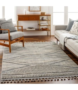 Livabliss Sousse SUS2300 Gray Light Beige Area Rug 9 ft. 6 in. X 12 ft. Rectangle