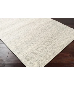 Surya Tahoe TAH3709 Cream Light Gray Area Rug 2 ft. X 3 ft. Rectangle