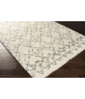 Surya Tasman TAS-4500-2x3 rug
