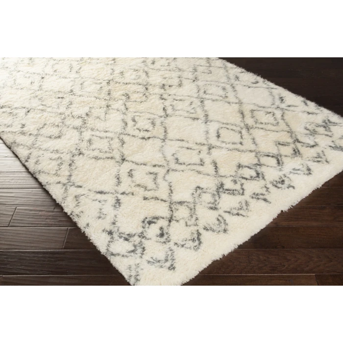 Surya Tasman TAS-4500-2x3 rug