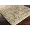Surya Tasman TAS4501 Ivory Navy Area Rug 2 ft. X 3 ft. Rectangle