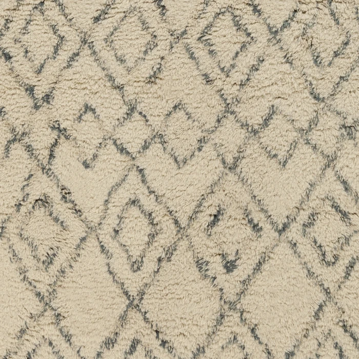 Surya Tasman TAS-4501-2x3 rug