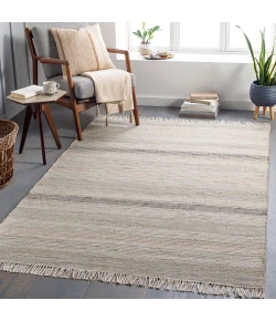 Surya Trabzon TBO2300 Light Beige Gray Area Rug 9 ft. X 12 ft. Rectangle