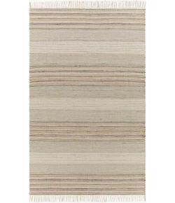 Surya Trabzon TBO2302 Light Beige Gray Area Rug 9 ft. X 12 ft. Rectangle