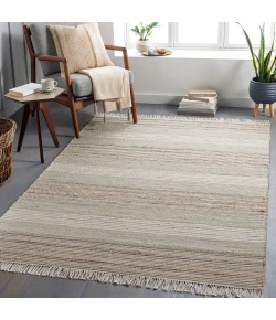 Surya Trabzon TBO2302 Light Beige Gray Area Rug 9 ft. X 12 ft. Rectangle