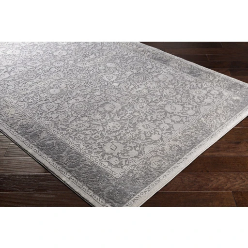 Surya Tibetan TBT-2302-27x76 rug