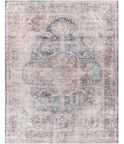 Livabliss Tahmis THI2700 Brown Tan Area Rug 7 ft. 10 in. X 10 ft. 2 in. Rectangle