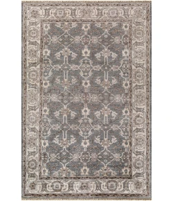 Surya Theodora THO3001 Medium Gray Light Gray Area Rug 4 ft. X 6 ft. Rectangle