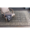 Surya Theodora THO-3001-4x6 rug