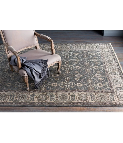 Surya Theodora THO-3001-4x6 rug
