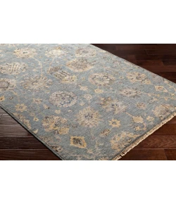 Surya Theodora THO3006 Aqua Taupe Area Rug 4 ft. X 6 ft. Rectangle