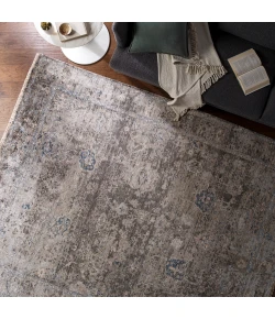 Surya Theodora THO3009 Medium Gray Charcoal Area Rug 4 ft. X 6 ft. Rectangle