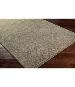 Surya Thompson THP1001 Tan Taupe Area Rug 4 ft. X 6 ft. Rectangle